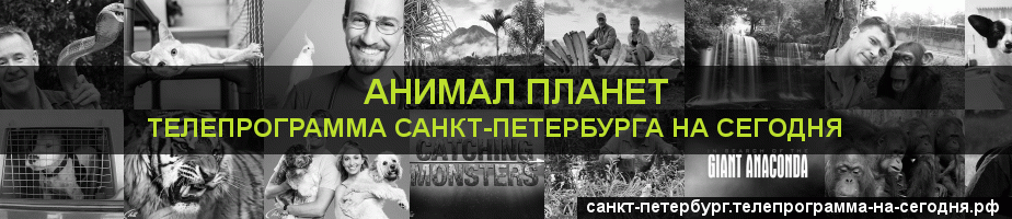 Телепрограмма на сегодня канала Анимал Планет, Санкт-Петербург