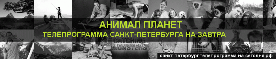 Телепрограмма на завтра канала Анимал Планет, Санкт-Петербург