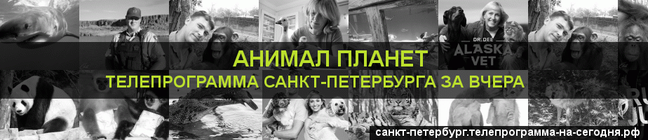 Телепрограмма за вчера канала Анимал Планет, Санкт-Петербург
