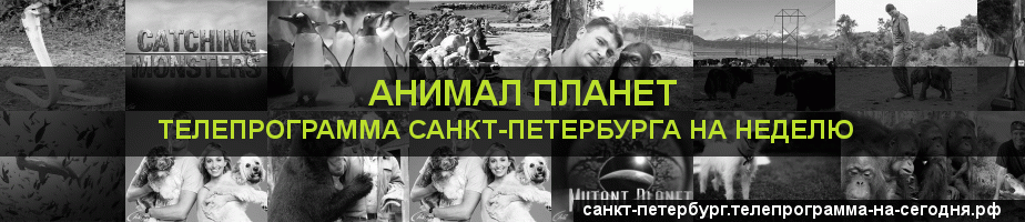 Телепрограмма на неделю канала Анимал Планет, Санкт-Петербург